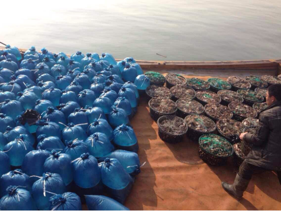 1525701069648151.png image.png