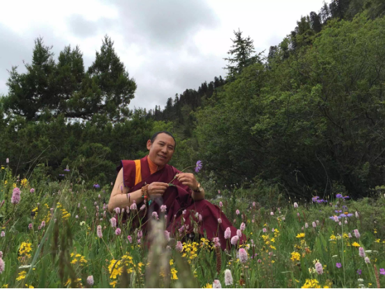 1525702337234005.png image.png